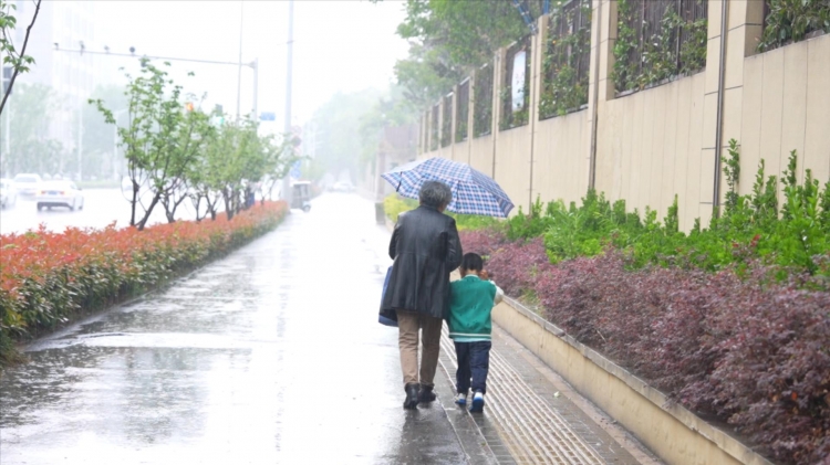 久旱甘霖至 春雷携雨为农田“解渴”！