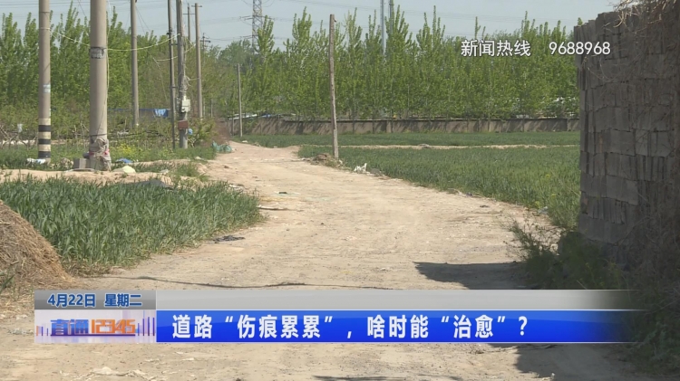 雨天泥晴天尘，这条破损村道何时修？