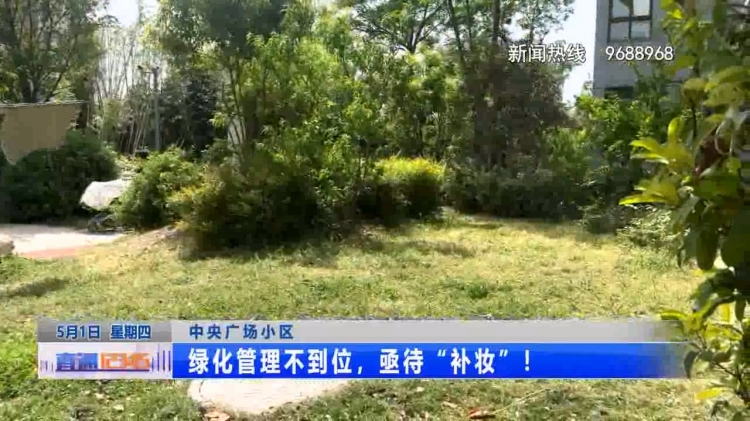 绿化“补妆”刻不容缓 管理缺位亟待改善