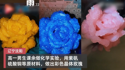 沈阳高中生把一朵布花变成晶体玫瑰