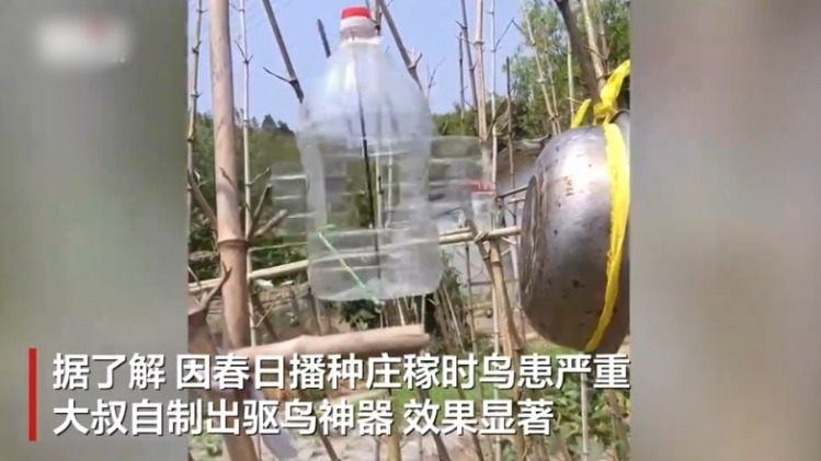 安徽男子发明“永动”驱鸟神器 成功守住自家田里秧苗