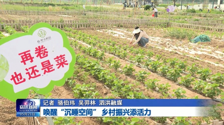 唤醒“沉睡空间” 乡村振兴添活力