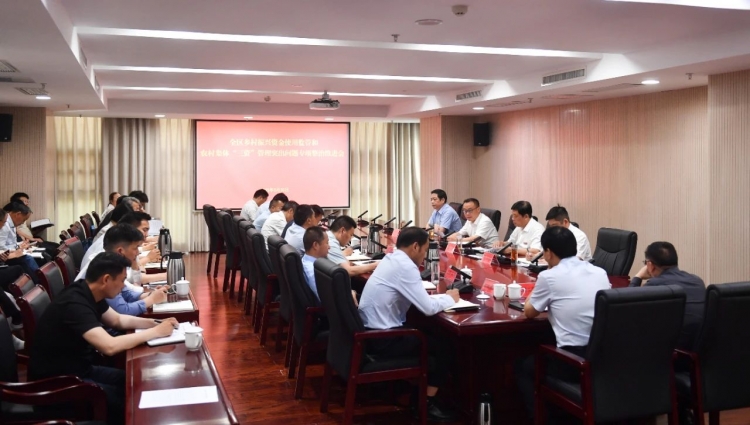 湖滨新区召开乡村振兴资金使用监管和农村集体“三资”管理突出问题专项整治推进会