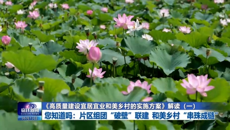 您知道吗 | 《高质量建设宜居宜业和美乡村的实施方案》解读（一）片区组团“破壁”联建 和美乡村“串珠成链”