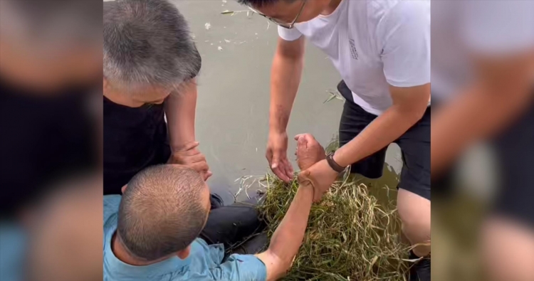 凡人善举 | 苏州公园老人落水 好市民纵身一跃合力救援
