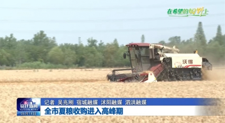 全市夏粮收购进入高峰期