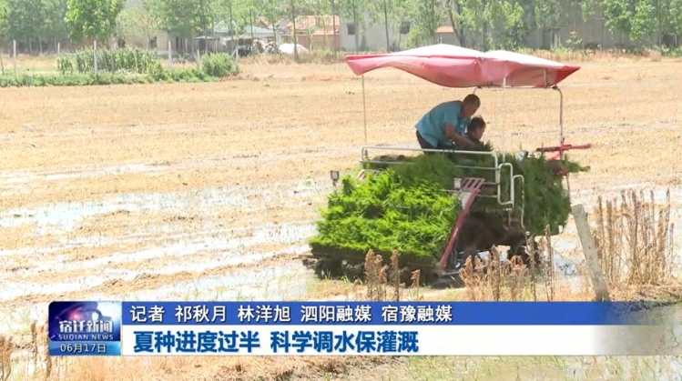 夏种进度过半 科学调水保灌溉