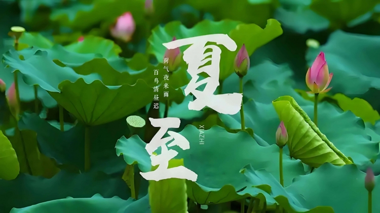 今日夏至 | 昼极夜始生 农忙正当时
