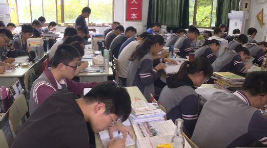 高考志愿填报：冲稳保垫！切勿相信低分捡漏