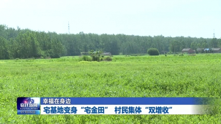 幸福在身边 | 宅基地变身“宅金田” 村民集体“双增收”
