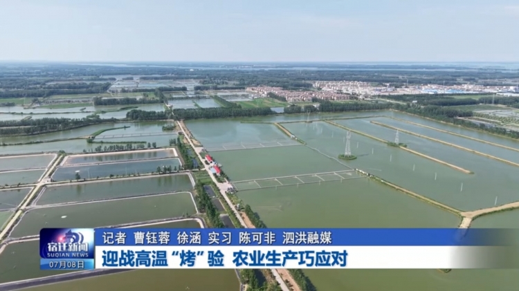 迎战高温“烤”验 农业生产巧应对