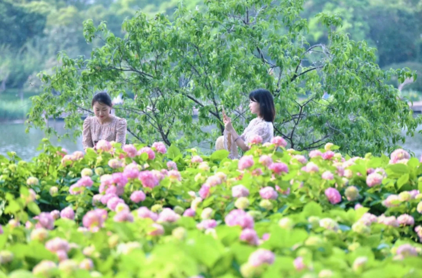 微信截图_20250528180804.png