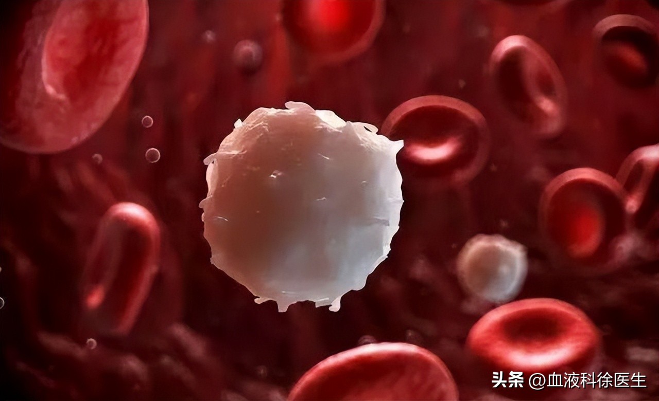 19e0e08559f94685b24874eab9900c06~tplv-tt-origin-web_gif.jpeg
