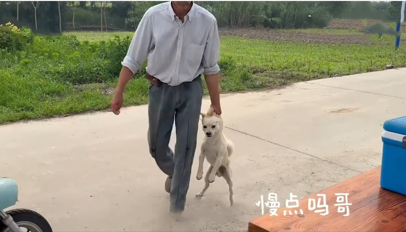 图片 2.png