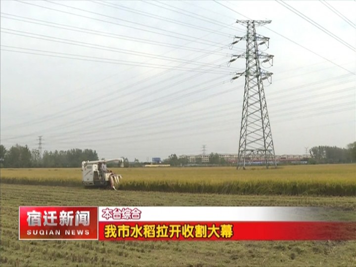 水稻■宿迁市水稻拉开收割大幕