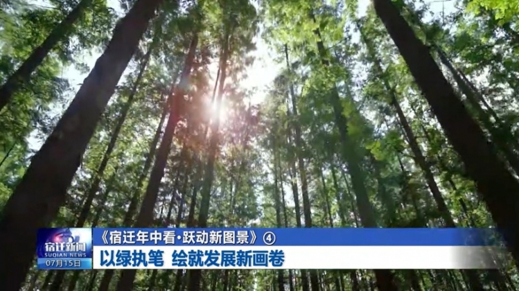 《宿迁年中看·跃动新图景》④ 以绿执笔 绘就发展新画卷