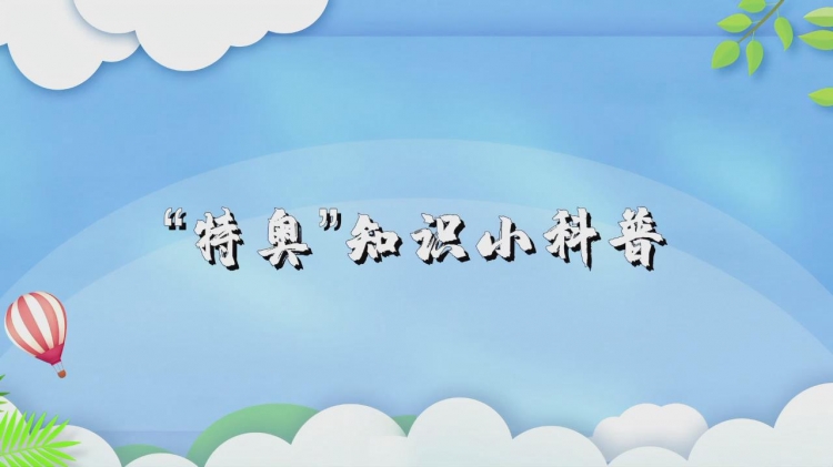 全国特奥日丨“特奥”知识小科普