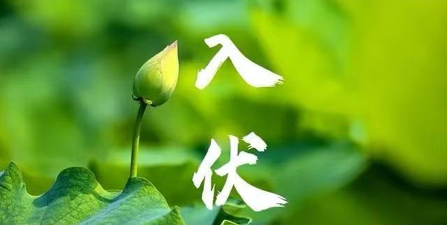 今日入伏！“桑拿天”开启 高温高湿谨防中暑