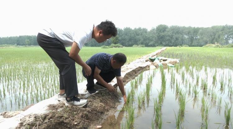 戴继超：躬耕沃野践初心 振兴路上显担当