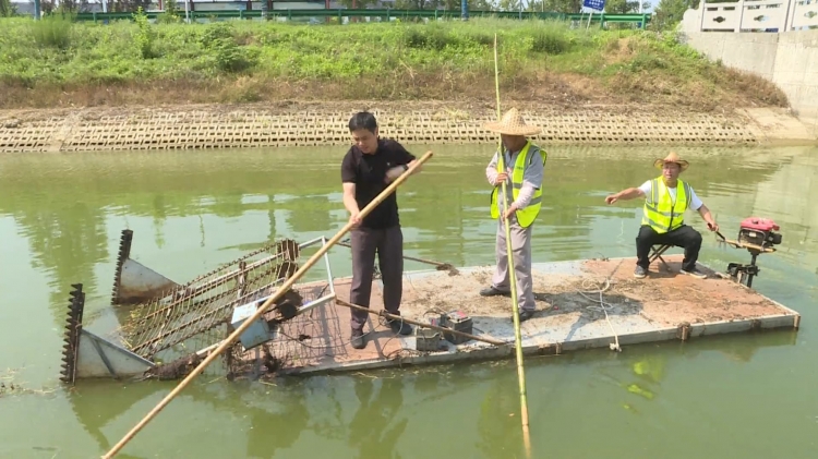 高温下的劳动者 | 河道保洁工：“上烤下蒸”护碧水