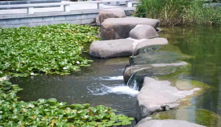 《那山那水那田》（1）| 从“污臭河”到“幸福河” 马陵放歌水清清