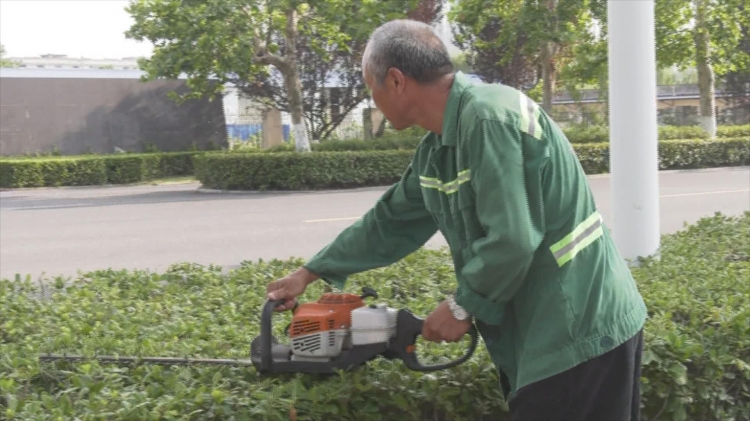 高温下的劳动者 | 为草木“理发梳妆”的园林工人