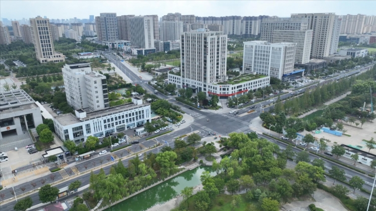 连片成网：市区60条绿波带串联 “一路绿灯”畅行无阻！