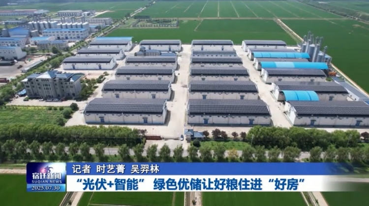 泗洪：“光伏+智能” 绿色优储让好粮住进“好房”