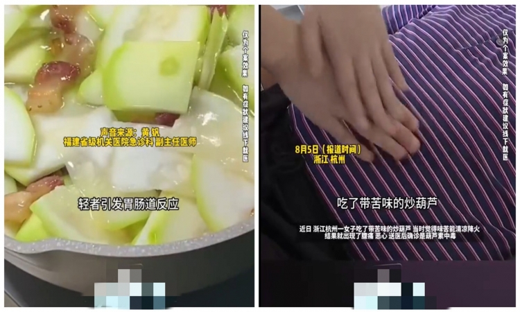 夏天“吃苦”能降火？女子吃“苦葫芦”致中毒