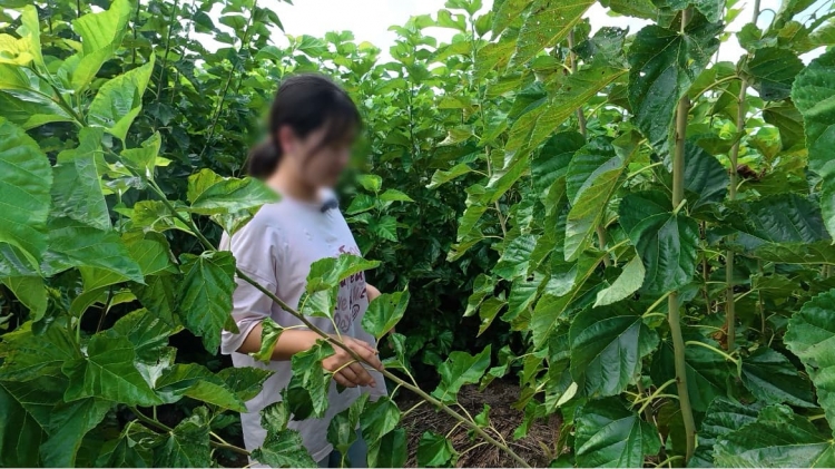 和你在一起·牵手助学（4）| 小文：我想为自己谋一条出路 扛起家里的希望