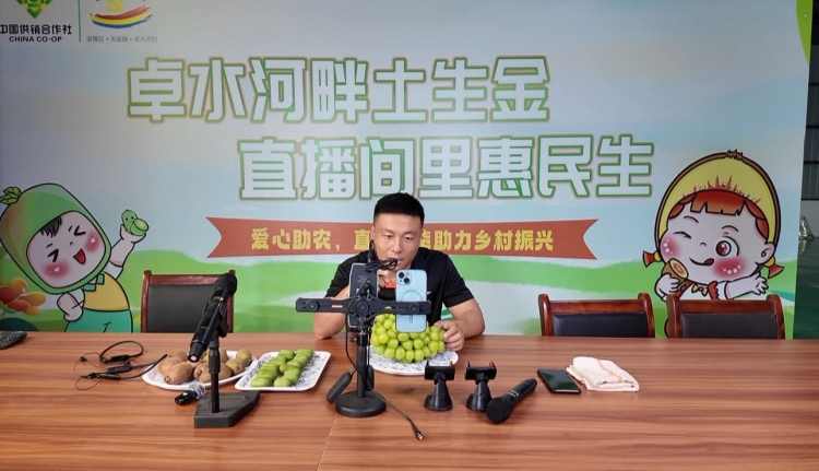 支部+电商 这个村的葡萄猕猴桃线上日销3000单