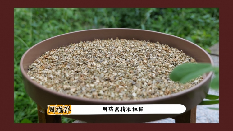 一周一味｜蒺藜：中医库里“带刺”的宝藏