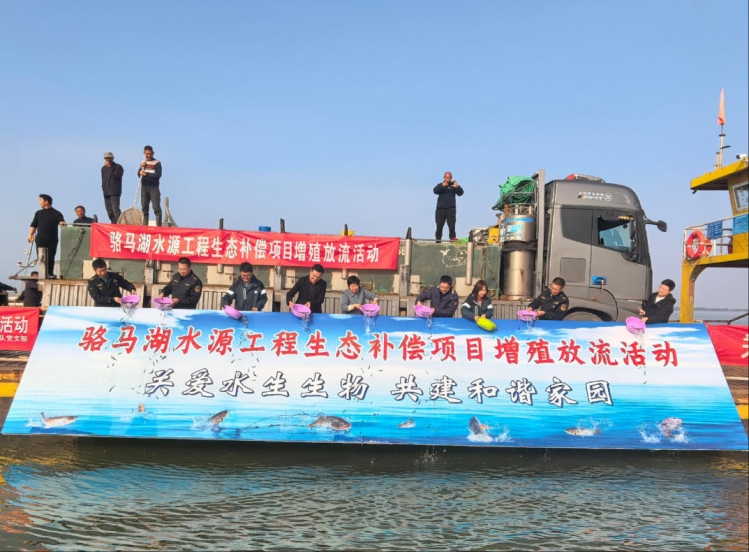 生态补偿赋能增殖放流 骆马湖120万尾鱼苗助生态升级