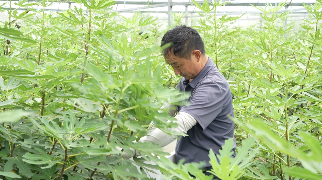 微信截图_20250813103832.png