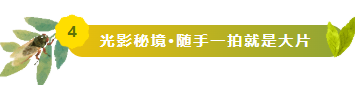 wechat_2025-08-15_170209_007.png