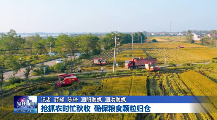 抢抓农时忙秋收 确保粮食颗粒归仓