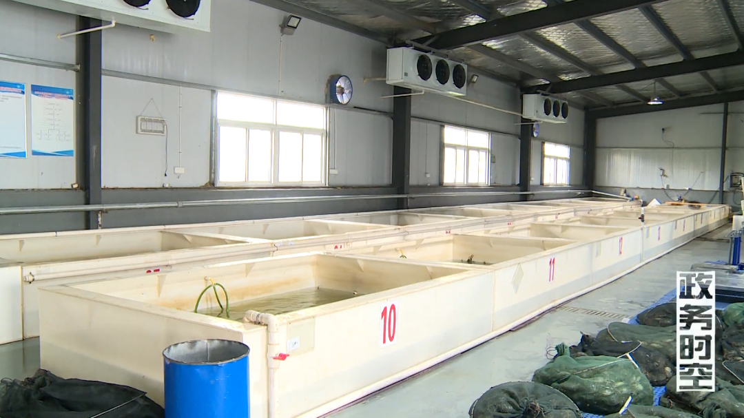 临淮镇：产业筑基 生态赋能 共绘乡村振兴新画卷VA0.mp4.00_02_03_07.Still007.jpg