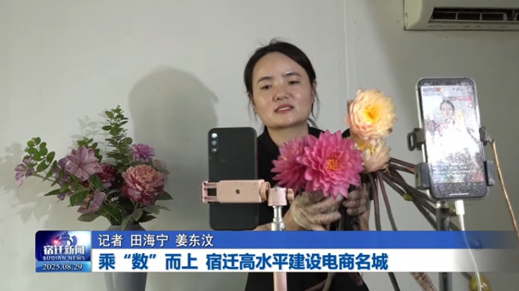 乘“数”而上 宿迁高水平建设电商名城