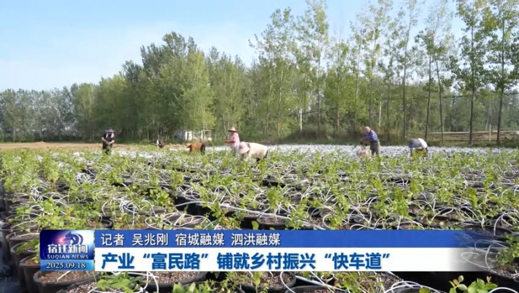 产业“富民路”铺就乡村振兴“快车道”