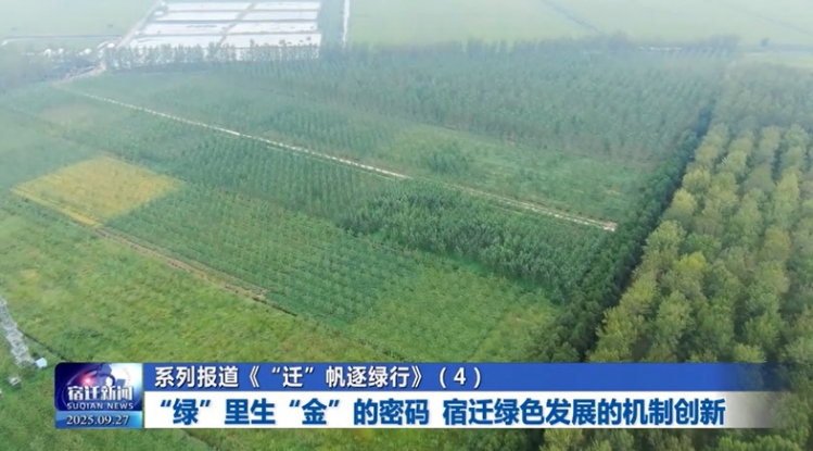 系列报道《“迁”帆逐绿行》（4）“绿”里生“金”的密码 宿迁绿色发展的机制创新