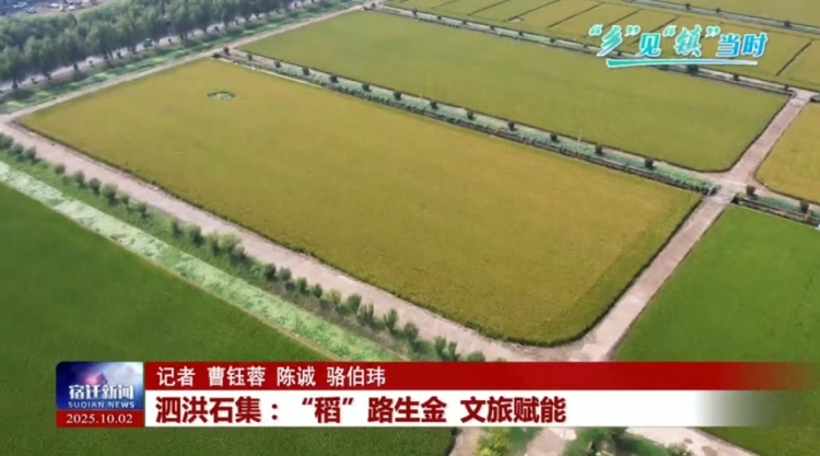 “乡”见“镇”当时 | 泗洪石集：“稻”路生金 文旅赋能