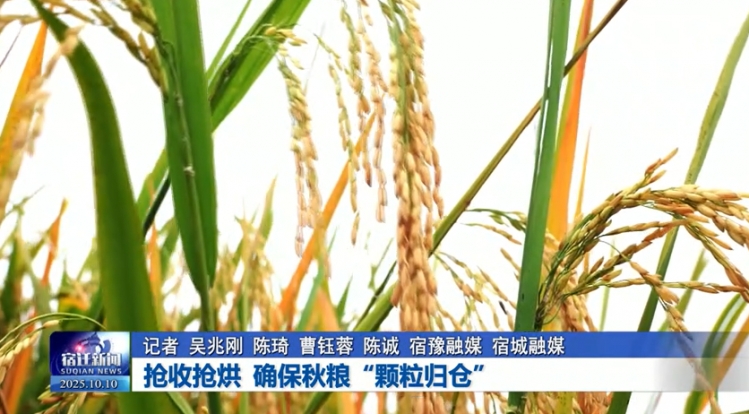 抢收抢烘 确保秋粮“颗粒归仓”